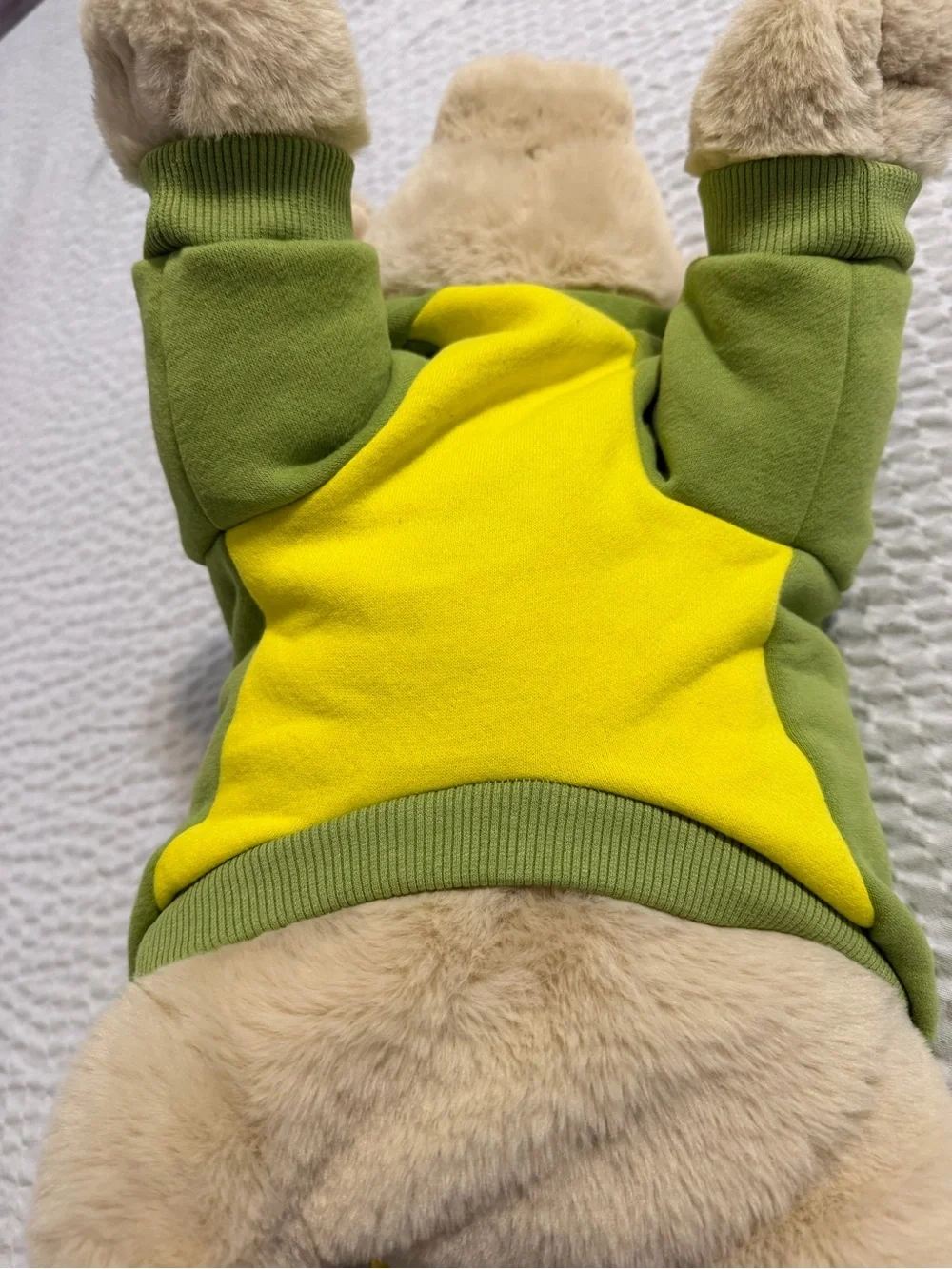 Dog Dinosaur Costume Small Dog Halloween Costume Warm Fleece Hoodie - Small